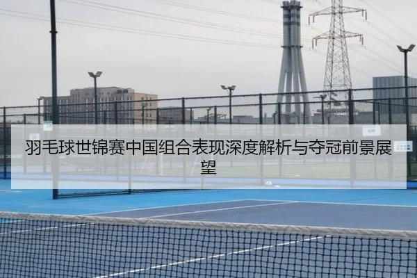 羽毛球世锦赛中国组合表现深度解析与夺冠前景展望